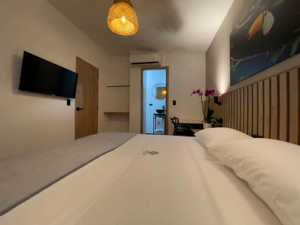 Vita Hotel Boutique メデジン エクステリア 写真