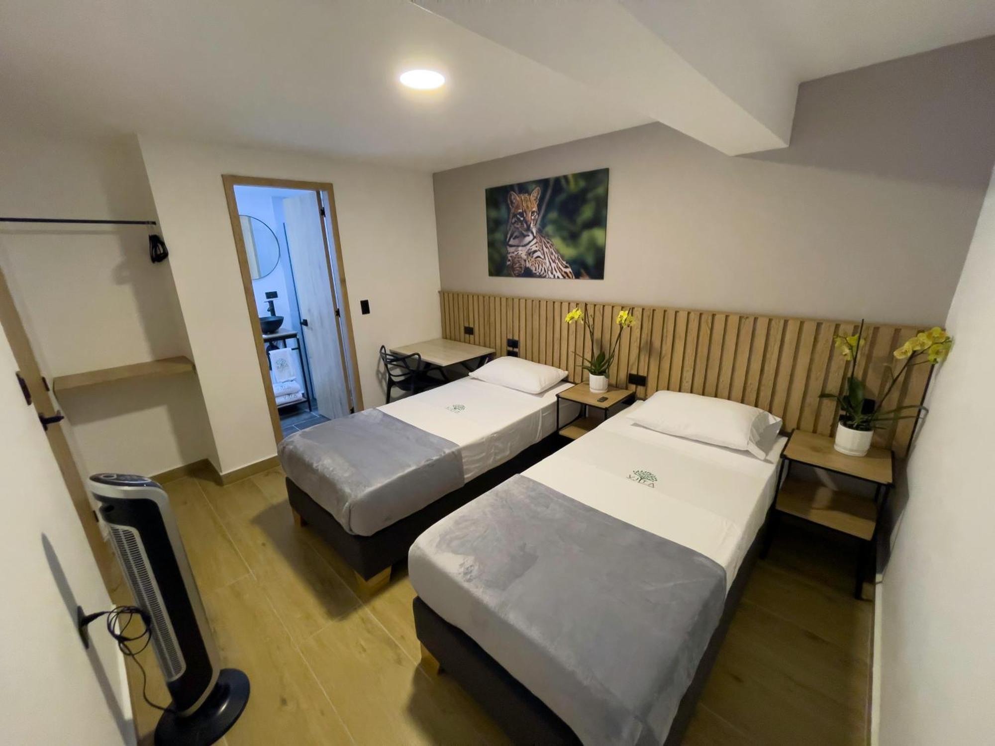 Vita Hotel Boutique メデジン エクステリア 写真
